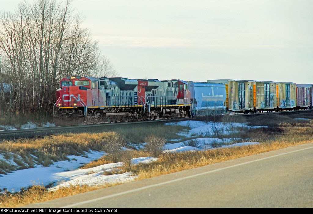 CN 8004